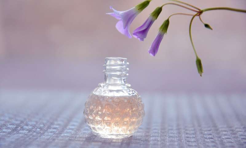 perfume