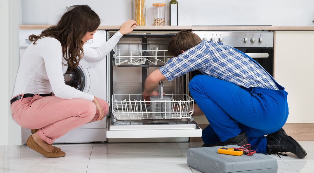 Dishwasher repair