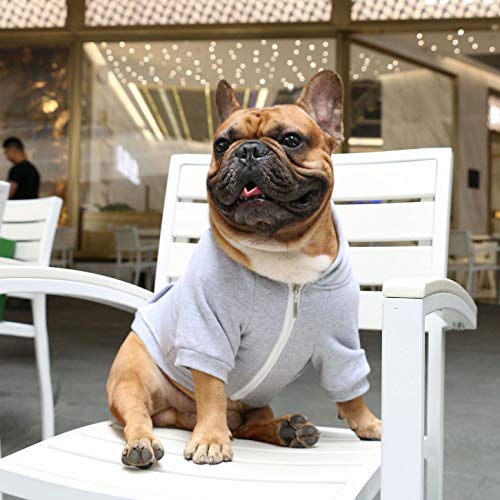 online pet dressing