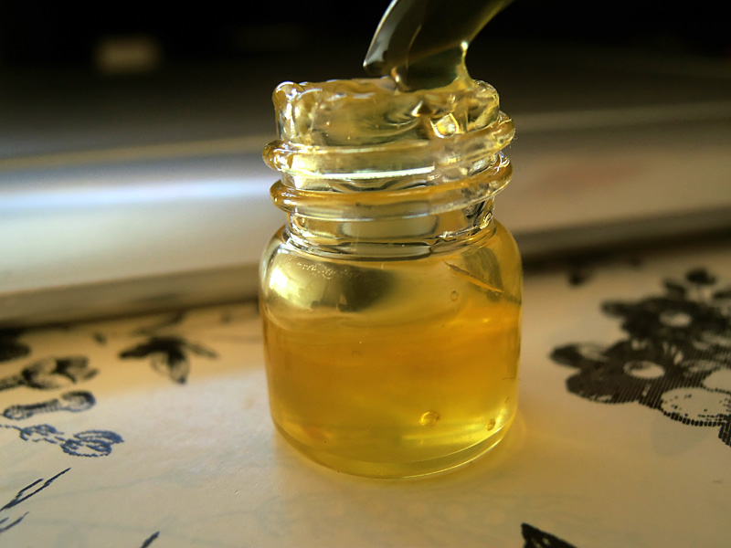 cbd for dogs