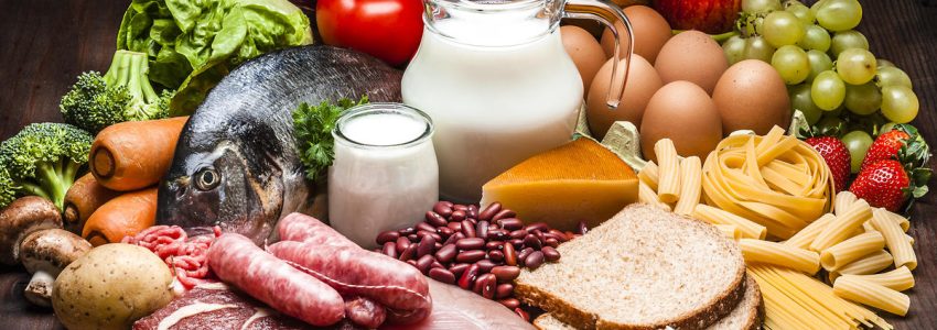 The Significance of Good Nourishment in a Veggie lover Diet Plan