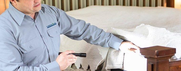Why BioCycle is the best service provider for bed bug control?