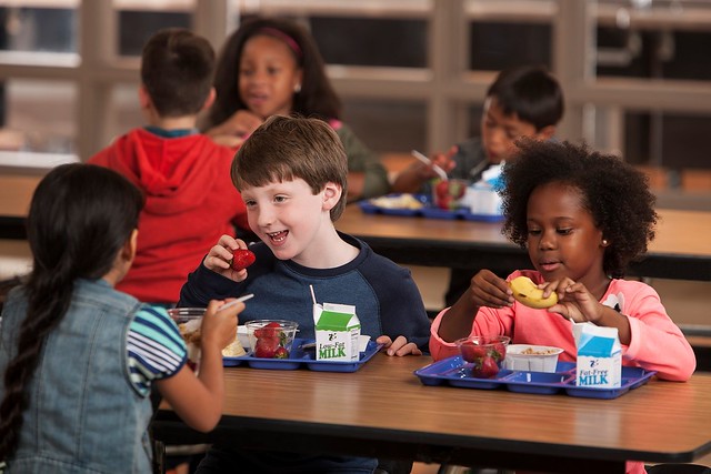 https://www.thehealthyschoolfoodcollaborative.com/services/school-consulting-services/