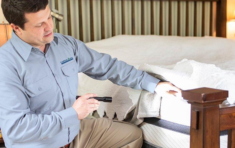 Why BioCycle is the best service provider for bed bug control?